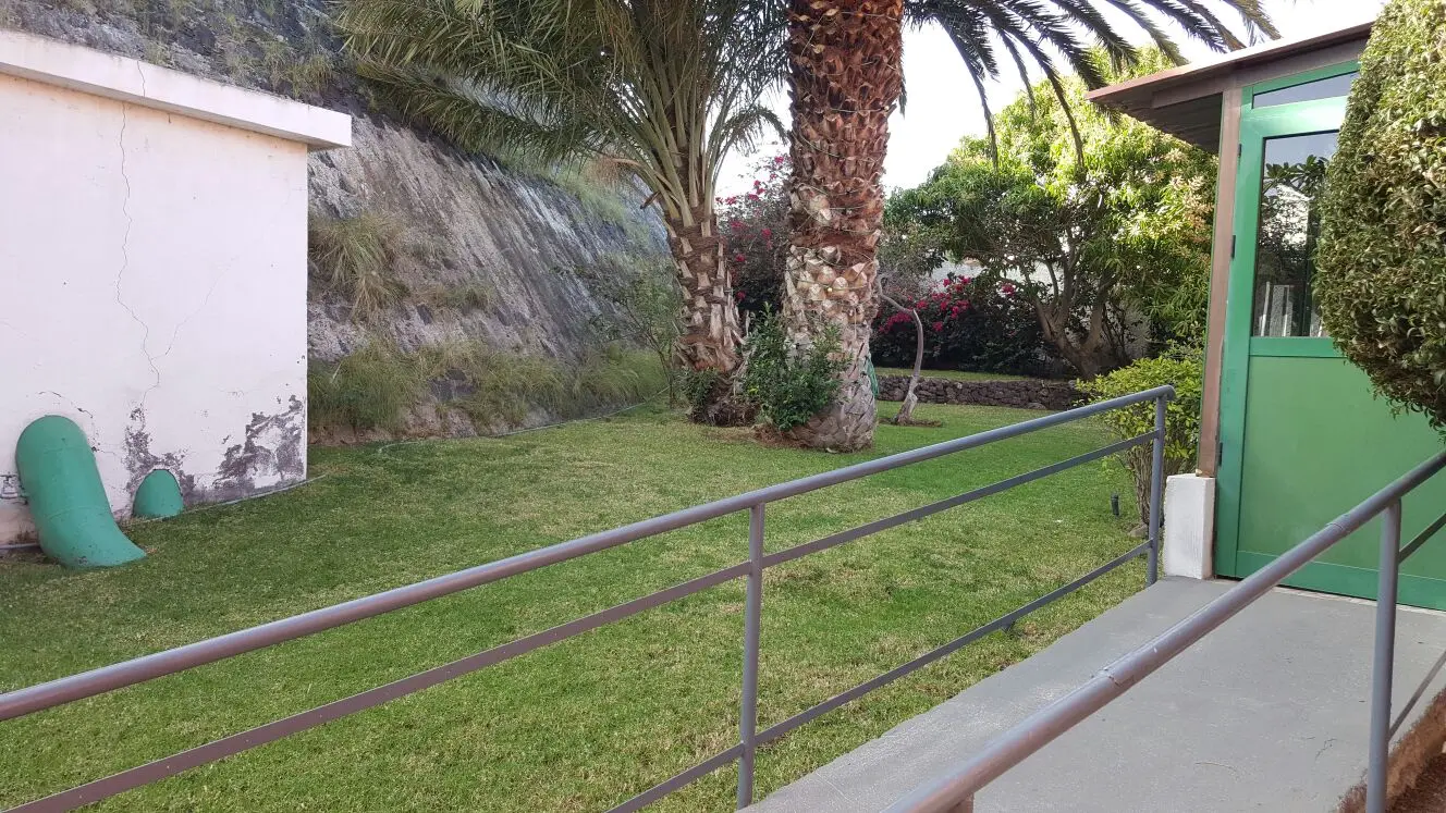 Rampa con barandilla junto al césped y las palmeras del jardín